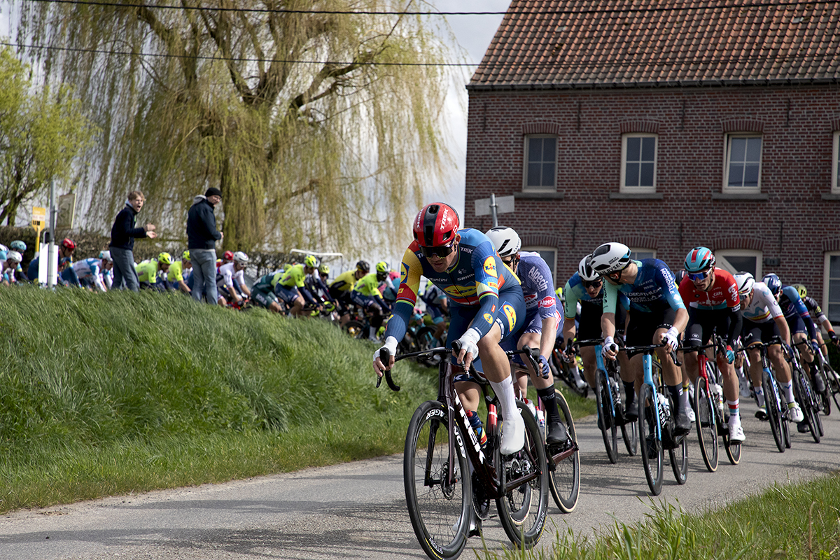 Dwars door Vlaanderen 2024 - Mads Pedersen - Templewood Photography